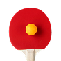 Coolzino – ping pong solo qui